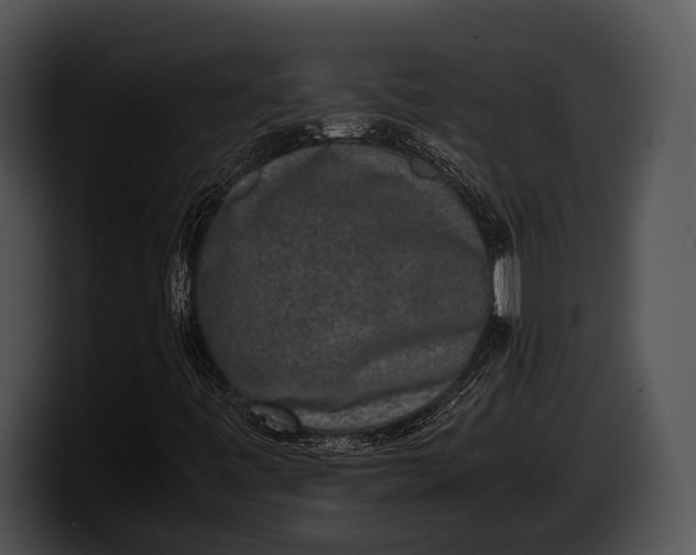 X0000100191443200806201245