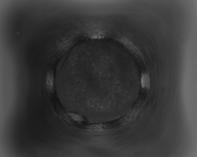 X0000100191444200806201245