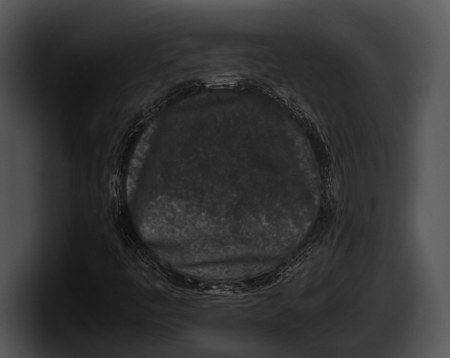 X0000100191445200806201245