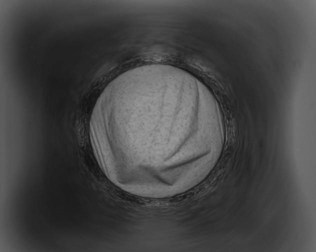 X0000100191446200806201245