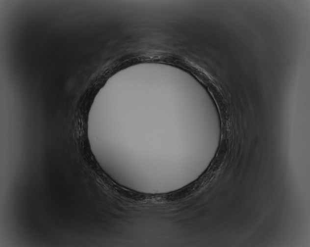 X0000100191447200806201245