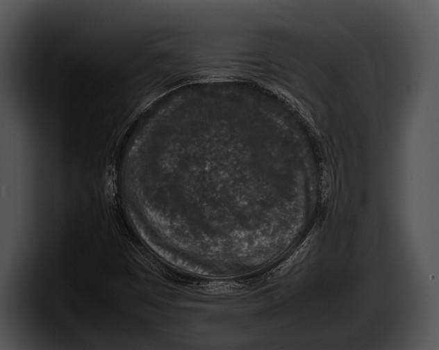 X0000100191449200806201245