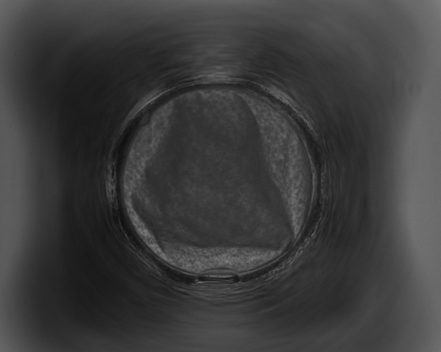 X0000100191450200806201245