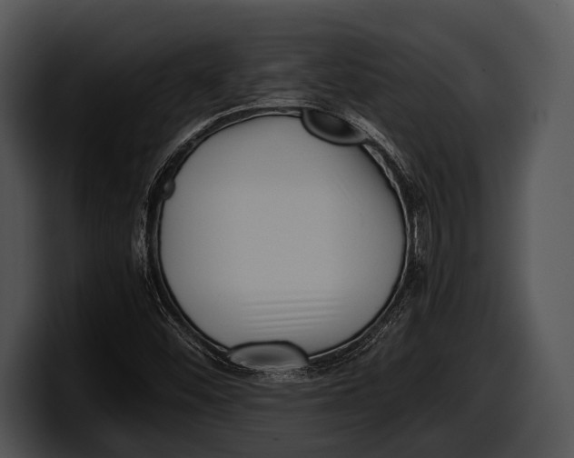 X0000100191452200806201245