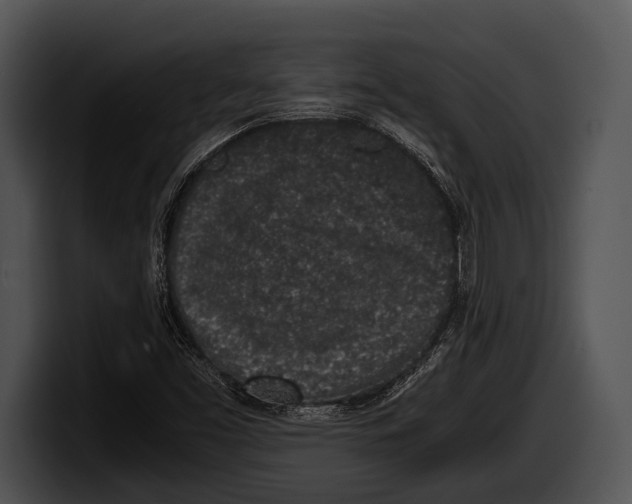 X0000100191453200806201245