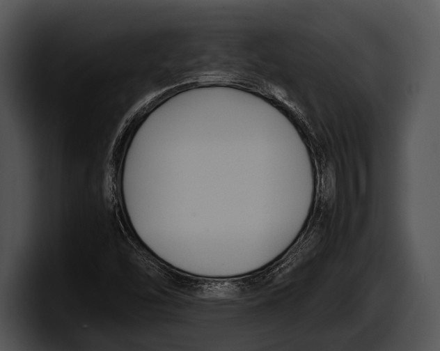 X0000100191454200806201244