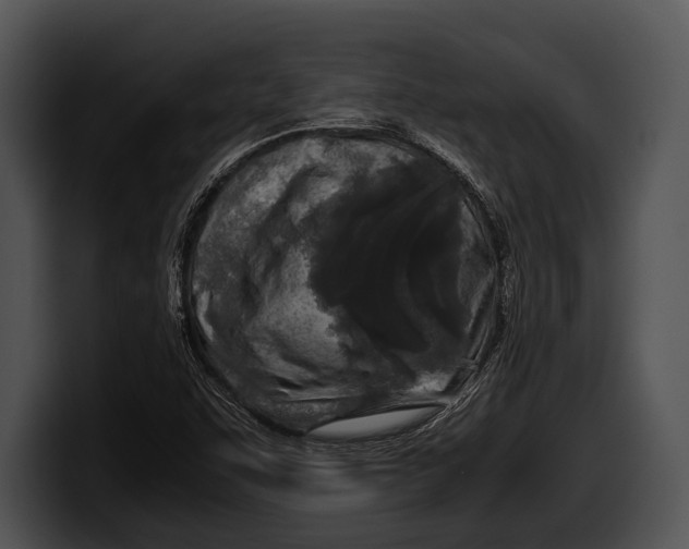 X0000100191455200806201244