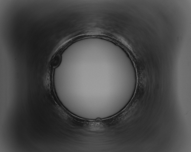 X0000100191456200806201244