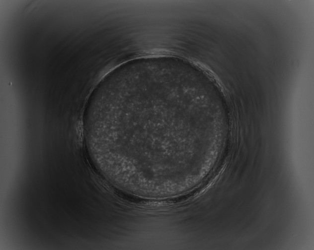 X0000100191457200806201244