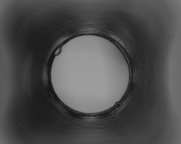 X0000100191458200806201244