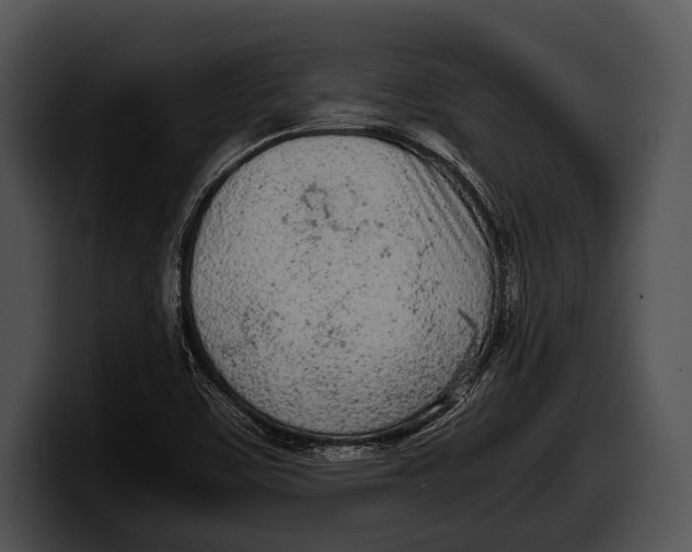 X0000100191459200806201244