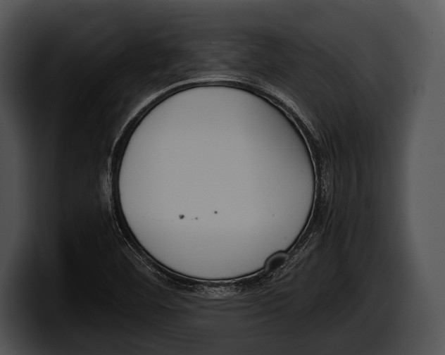 X0000100191460200806201244