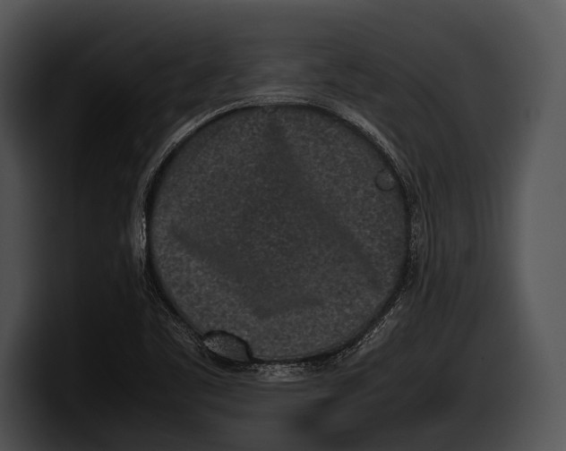 X0000100191461200806201244