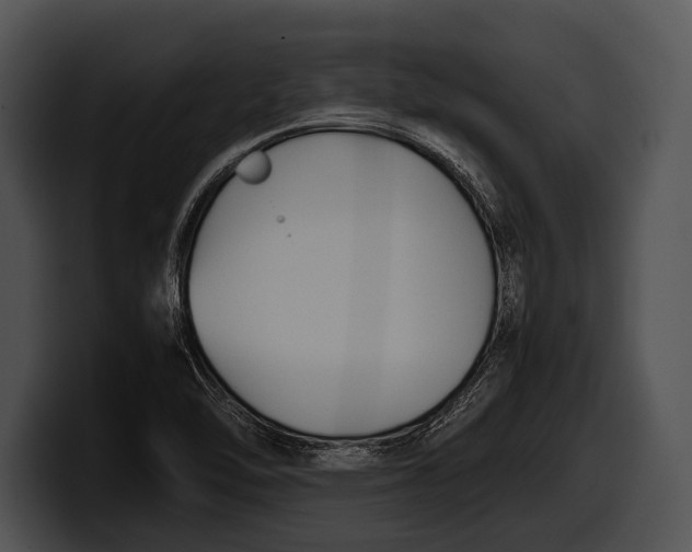 X0000100191462200806201244