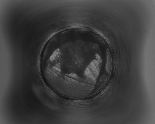 X0000100191463200806201244