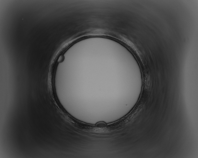 X0000100191464200806201244