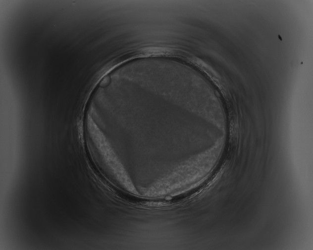 X0000100191465200806201244