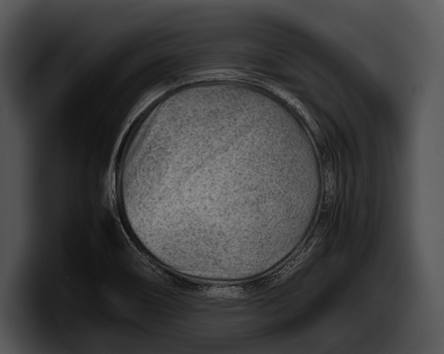 X0000100191466200806201244