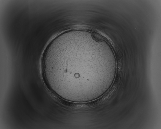 X0000100191467200806201244