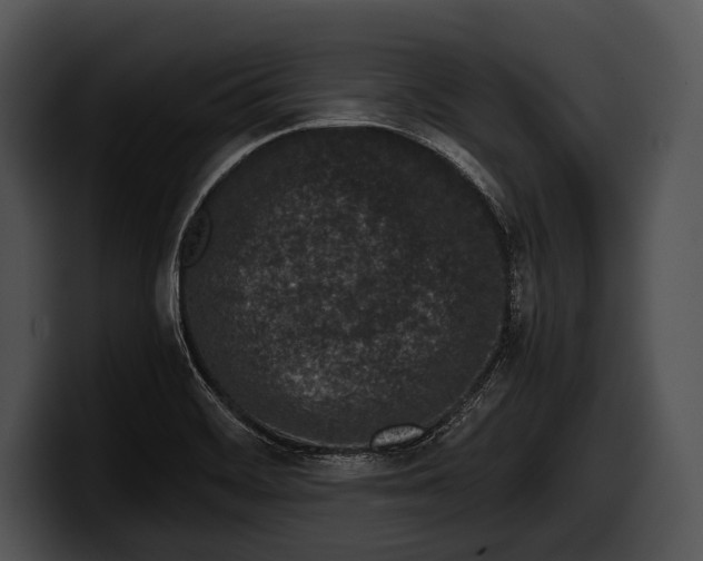 X0000100191468200806201244