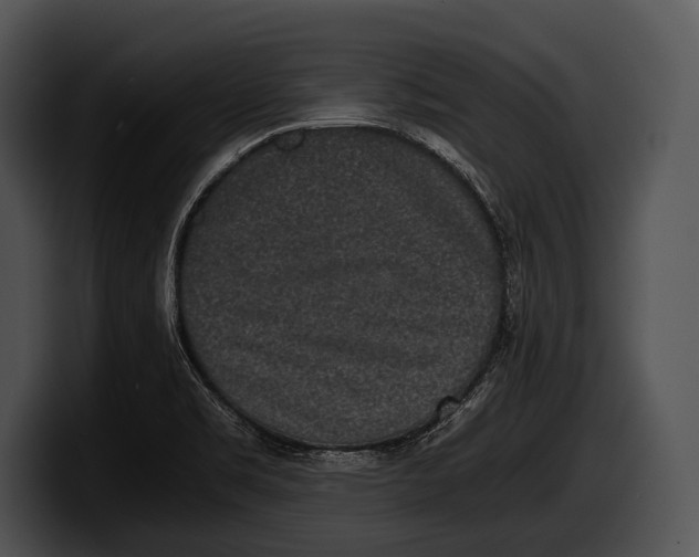 X0000100191469200806201244