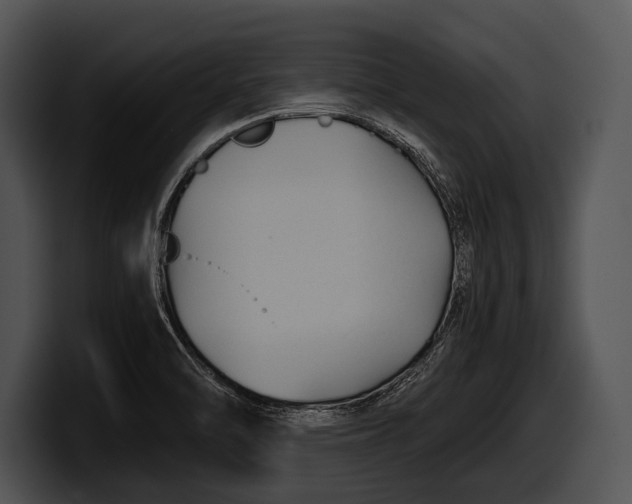 X0000100191470200806201244