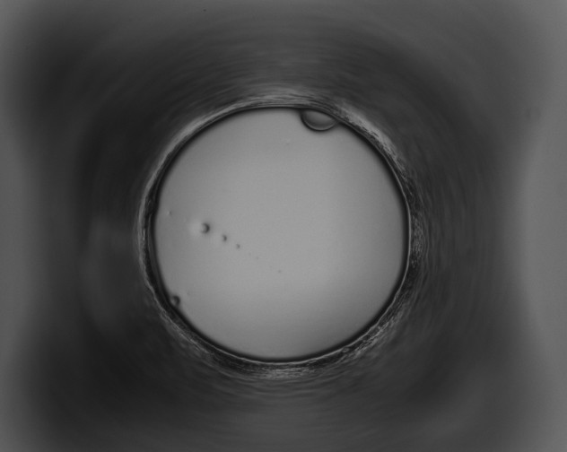 X0000100191471200806201244