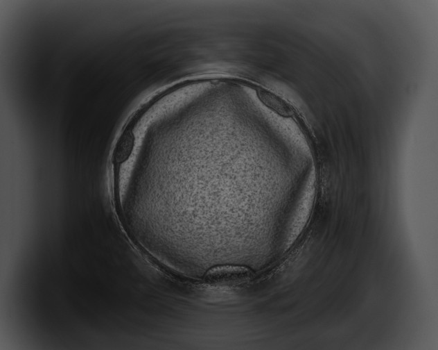 X0000100191472200806201244