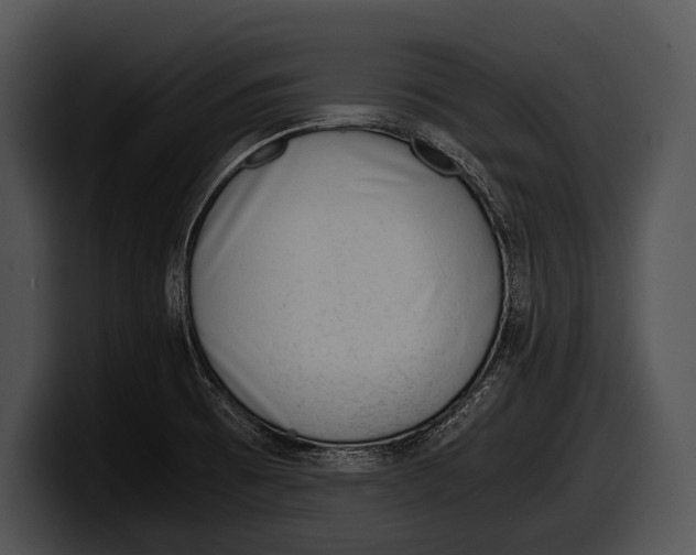 X0000100191473200806201244