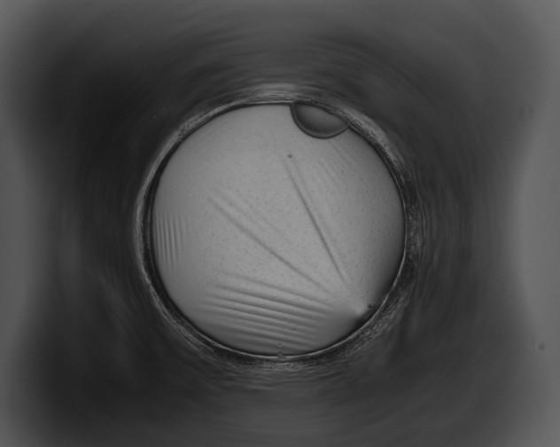 X0000100191475200806201244