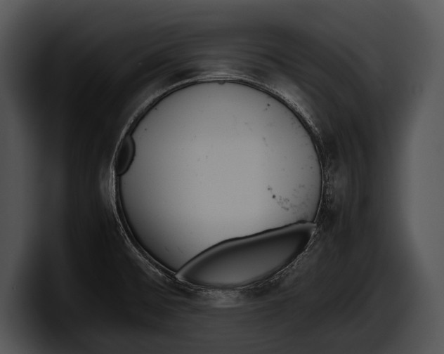 X0000100191476200806201244