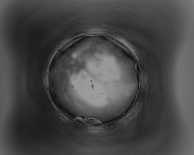 X0000100191477200806201244