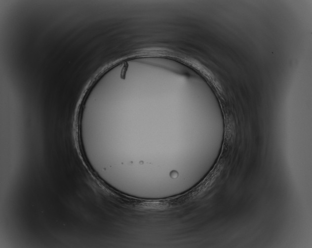 X0000100191478200806201244