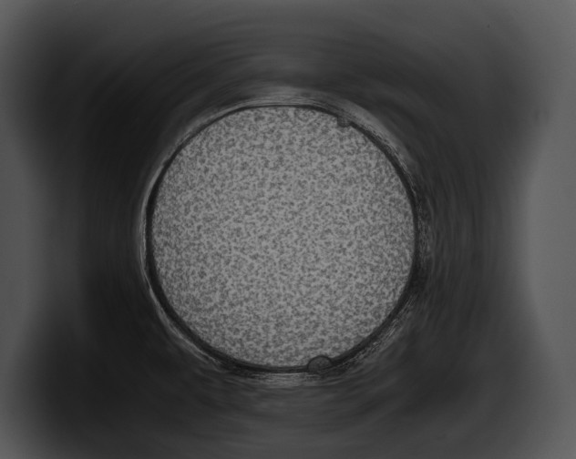 X0000100191479200806201244