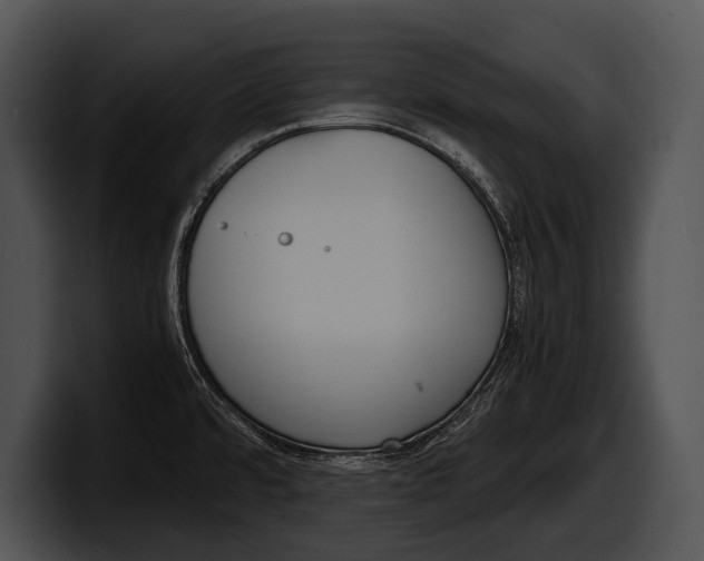 X0000100191480200806201244