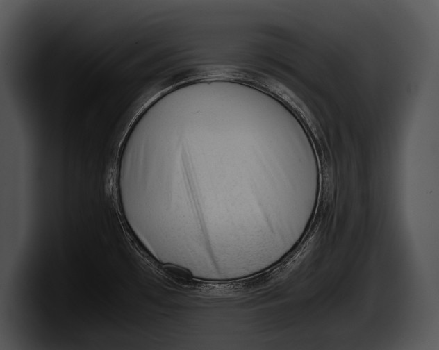 X0000100191481200806201244