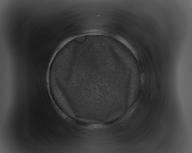 X0000100191482200806201244