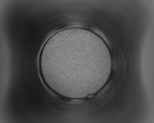 X0000100191483200806201244