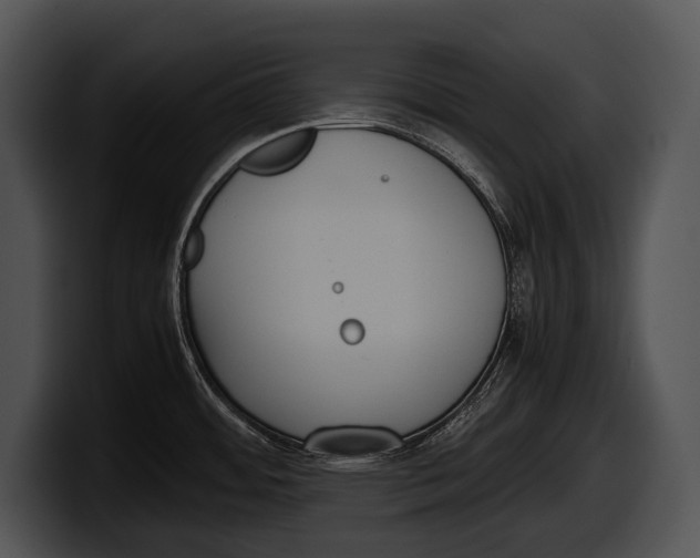 X0000100191484200806201244