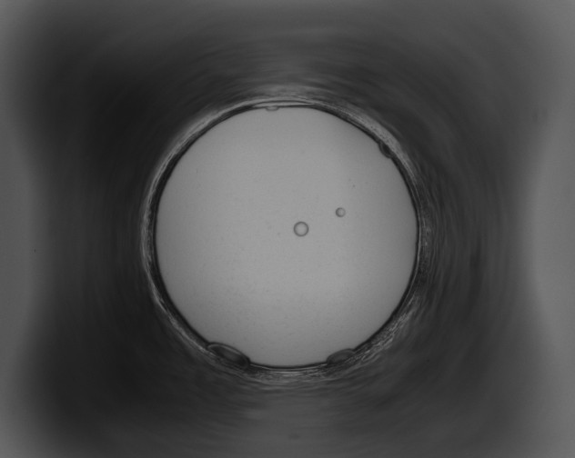 X0000100191485200806201244