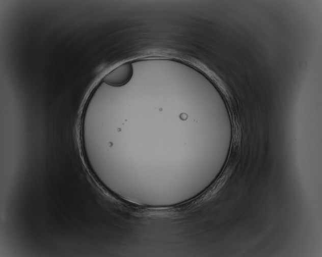 X0000100191486200806201244