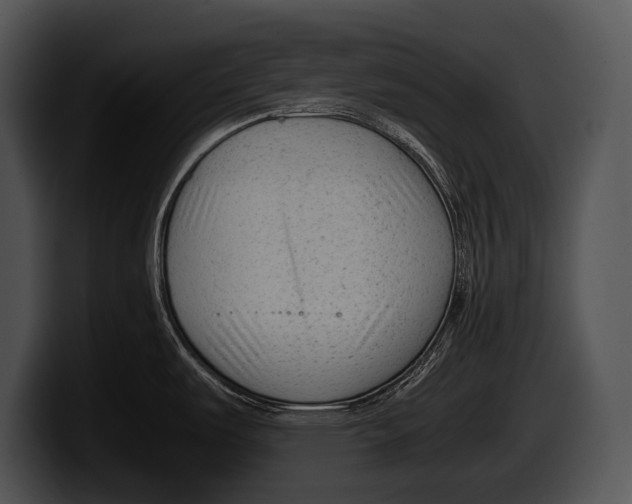 X0000100191487200806201244