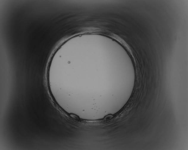 X0000100191488200806201244