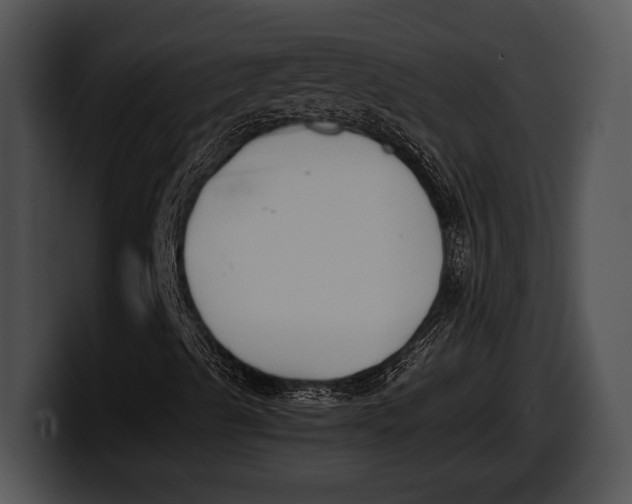 X0000100191489200806201243