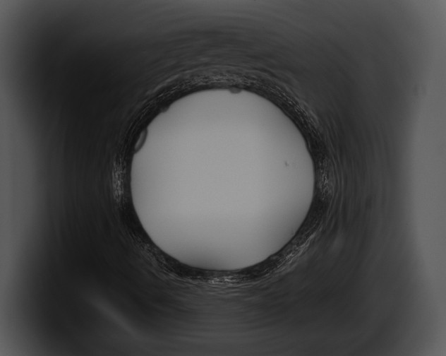 X0000100191490200806201243