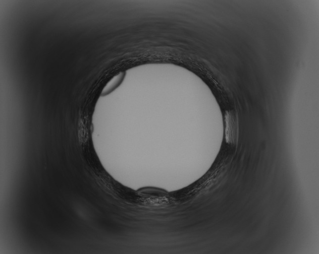 X0000100191491200806201243