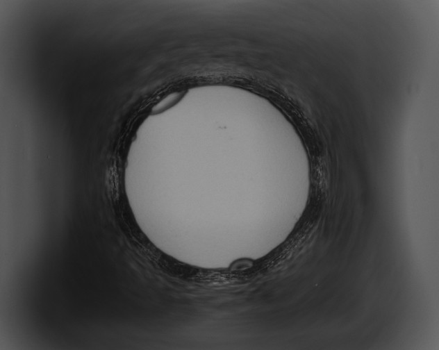 X0000100191493200806201243