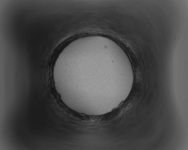 X0000100191494200806201243