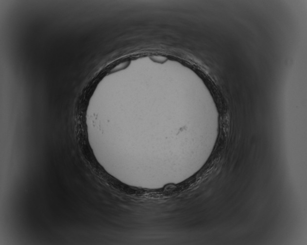 X0000100191496200806201243