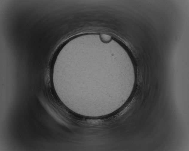 X0000100191498200806201244